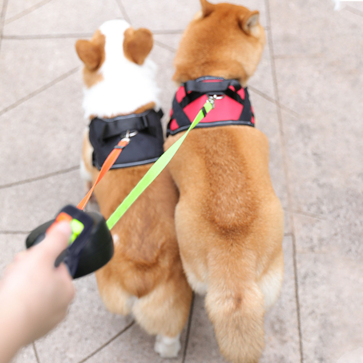 Correa doble extensible para perros - Movimiento 360° sin enredos💥HOY CON 50% DCTO