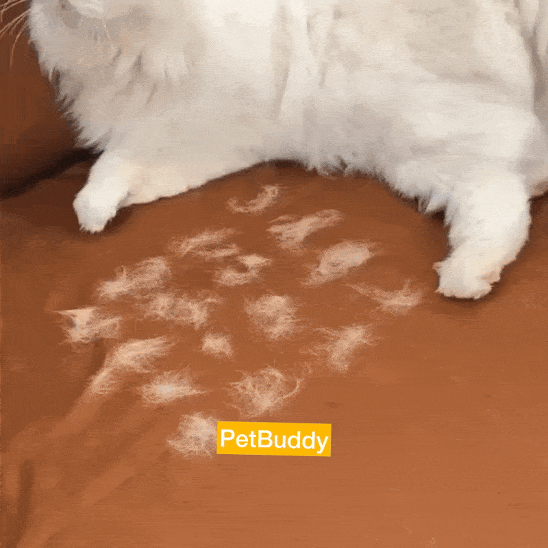 PetBuddy™ Guante electroestático para limpiar pelos de mascotas💥HOY Pague 1 Y LLEVA 2