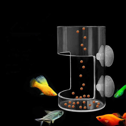 Alimentador de acrílico para peces - No ensucia los acuarios ✨Solo por HOY CON 50% DCTO