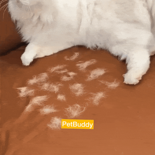 PetBuddy™ Guante electroestático para limpiar pelos de mascotas💥HOY Pague 1 Y LLEVA 2